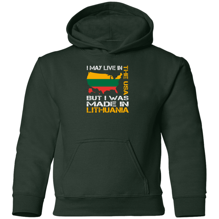 Made in Lithuania - Boys/Girls Youth Basic Pullover Hoodie